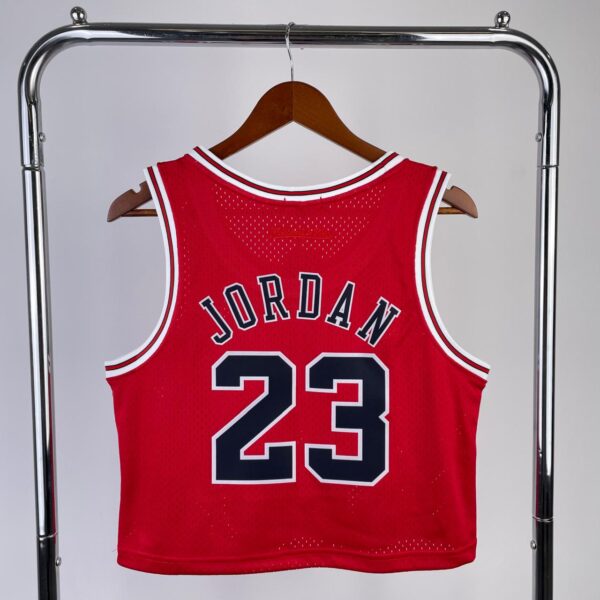 Cropped Chicago Bulls2