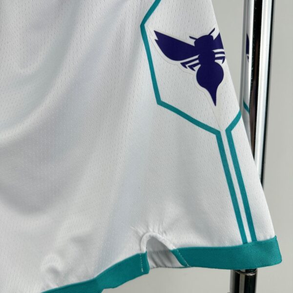 Charlotte Hornets