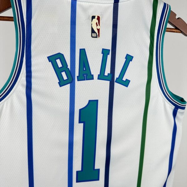 Charlotte Hornets