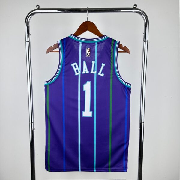 Charlotte Hornets29