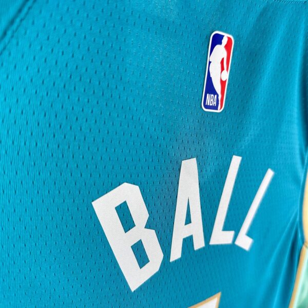 Charlotte Hornets
