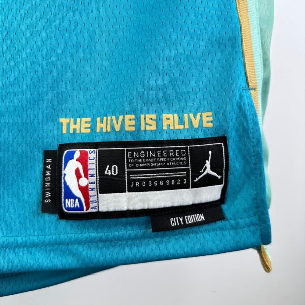 Regata Charlotte Hornets - Imagem 4