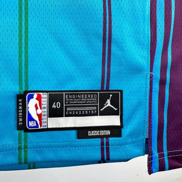 Regata Charlotte Hornets - Imagem 4