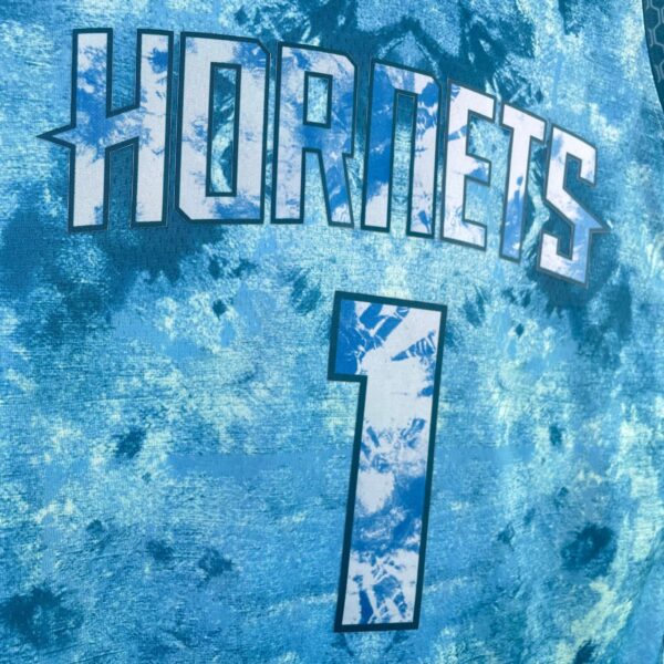 Charlotte Hornets
