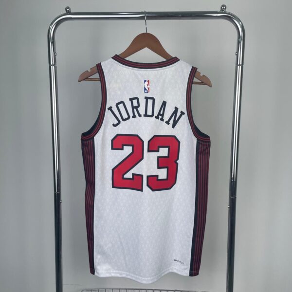 Chicago Bulls11