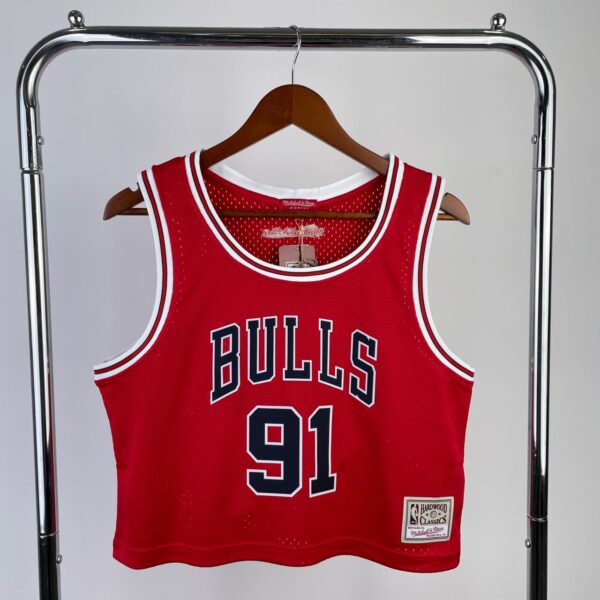 Cropped Chicago Bulls4